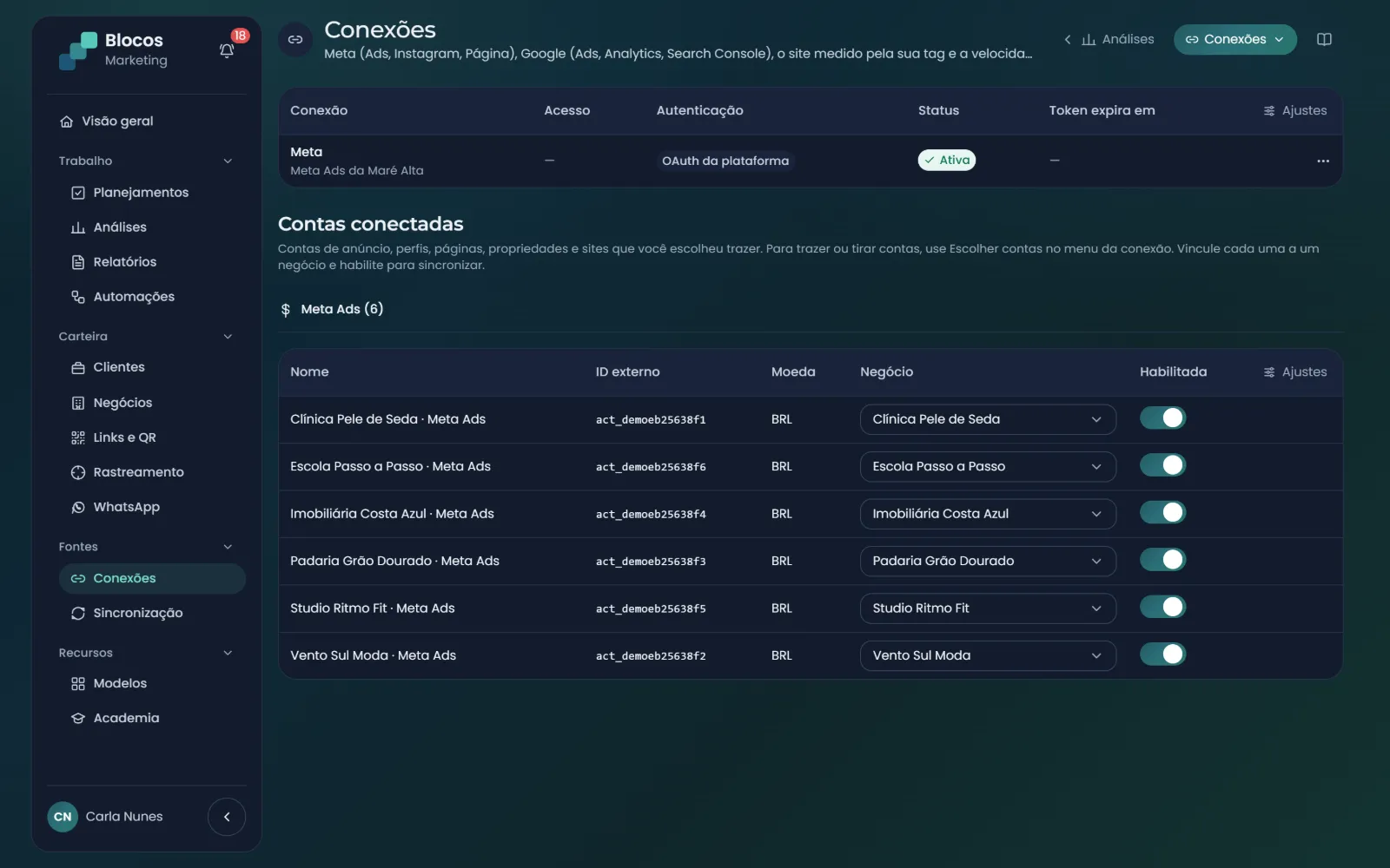 Conexões da agência: Meta autorizado pela plataforma e as contas de anúncio escolhidas, cada uma ligada a um negócio