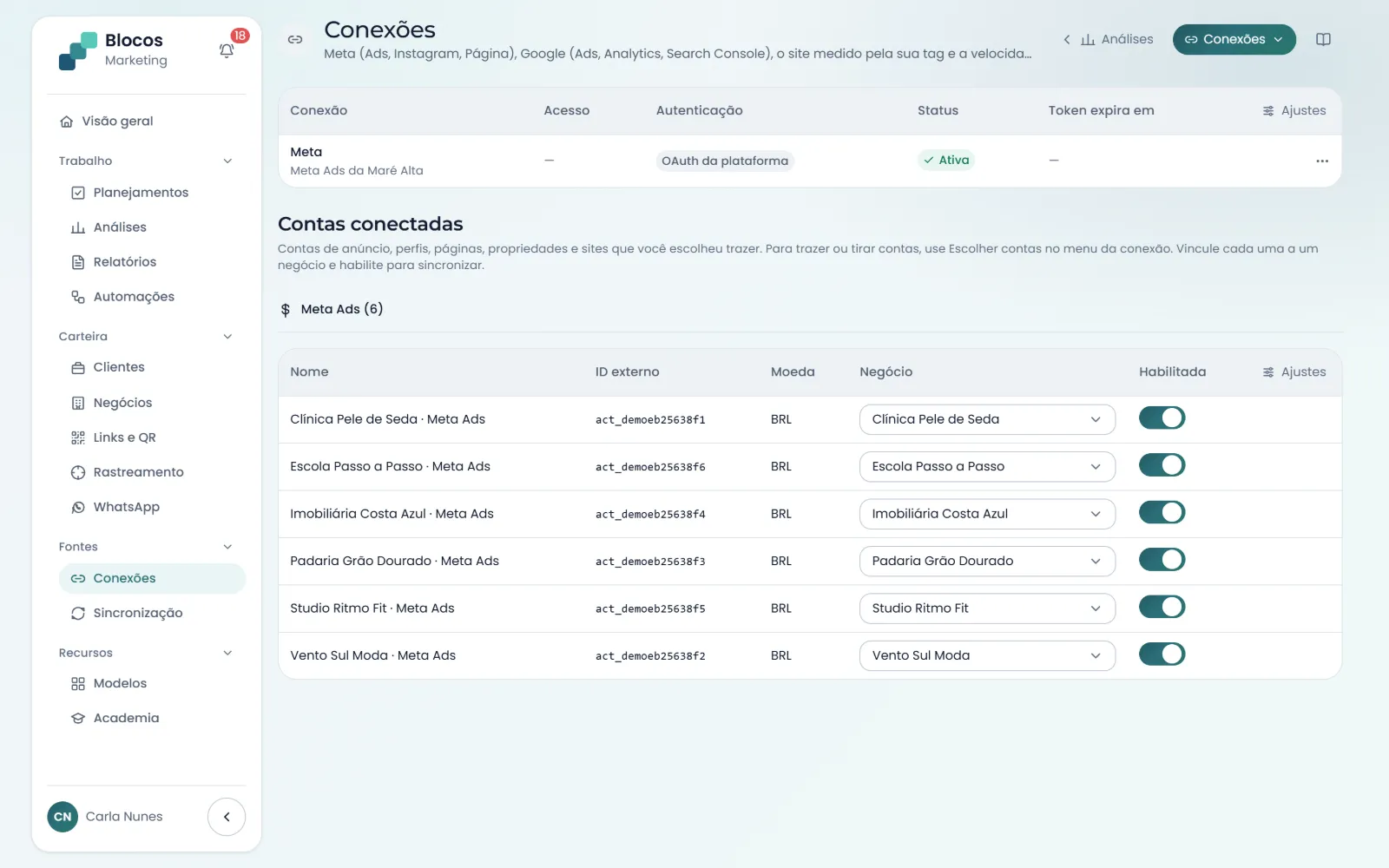 Conexões da agência: Meta autorizado pela plataforma e as contas de anúncio escolhidas, cada uma ligada a um negócio